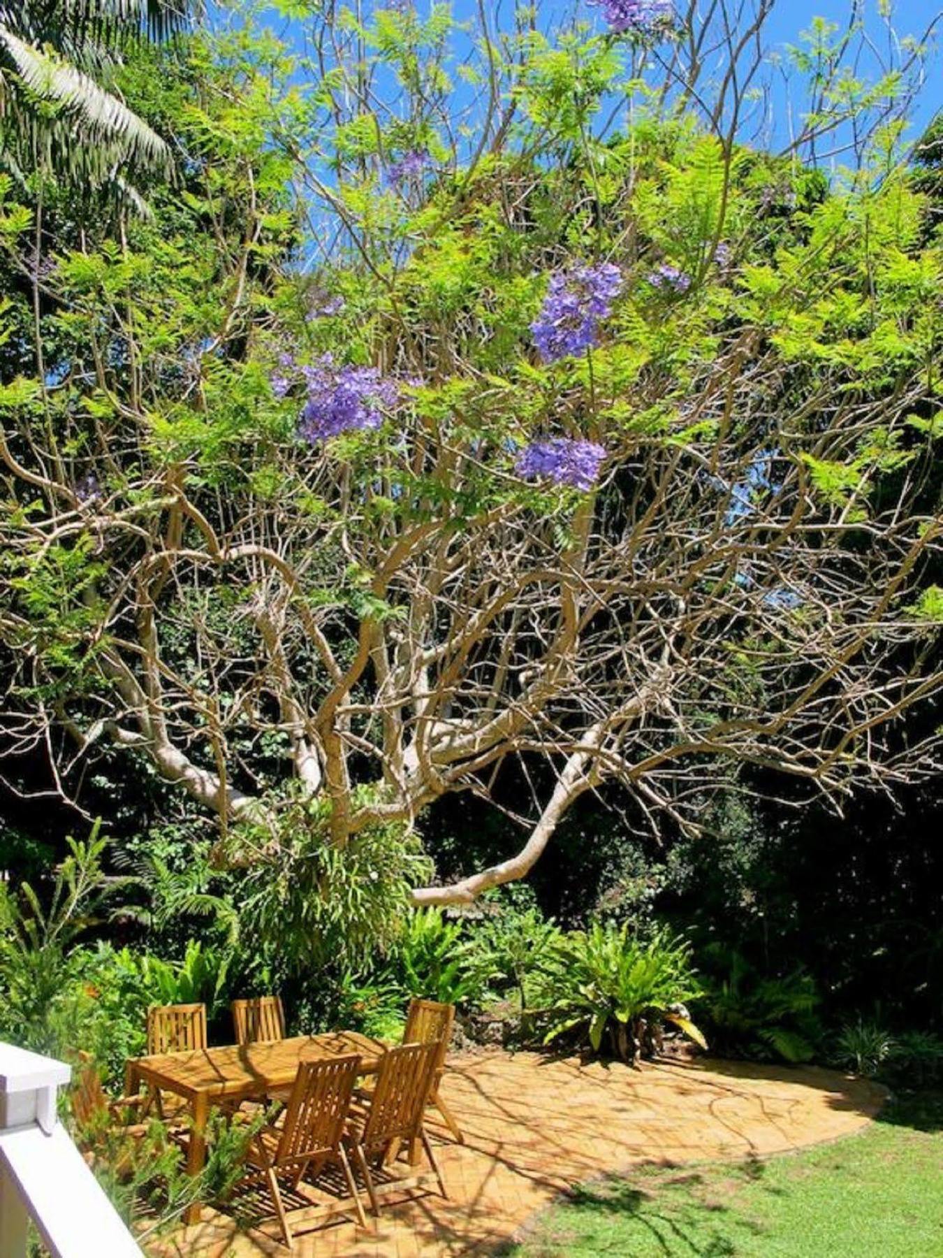 Beachcomber Lodge Lord Howe Island Kültér fotó